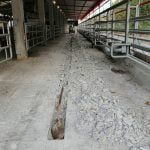 TESVİYE VE KAZI ÇALIŞMALARI